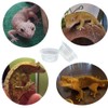 QIHYCUF 100 pcs Small Gecko Food and Water Cups Plastic