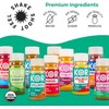 Kor Shot Elderberry and Zinc Shot - 24 Pack x