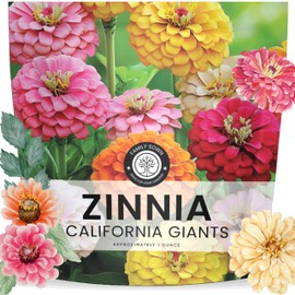 Zinnia California Giants - Large 1 Ounce Packet - 3,000 Flower Seeds for Planting - Zinnia elegans