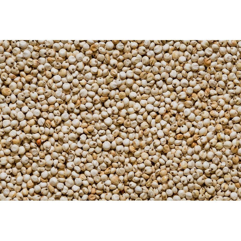 Nature Nates, Sorghum Popped Extreemly Cheezy, 5 Ounce