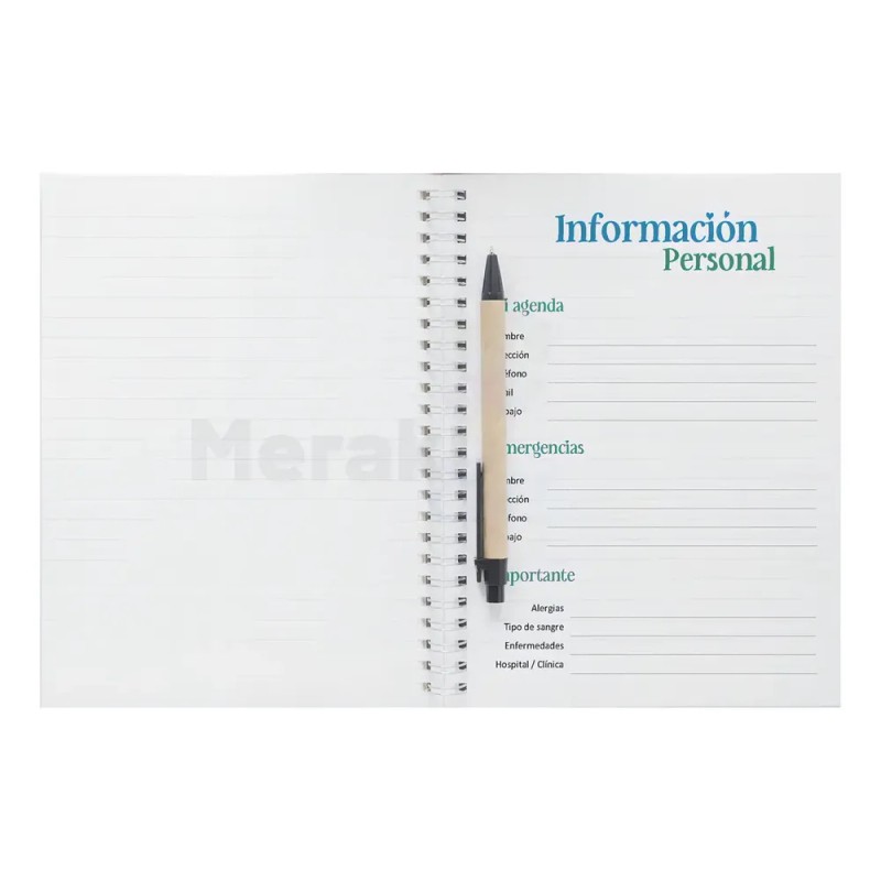 Agenda 2025 Dentista Diaria Medio Oficio Personalizada Portada Blanco Dentista