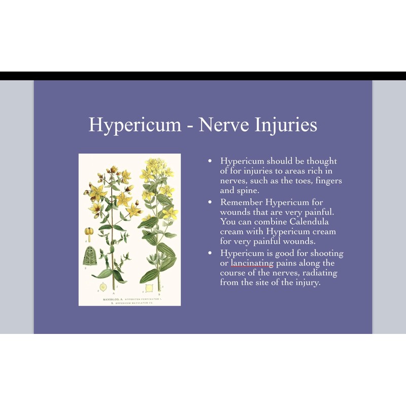 Hypericum Calendula Cream 6 pack