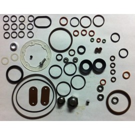 dieselitems Aftermarket Kit Replaces 24371 Stanadyne and Roosa Pumps