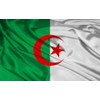 Algeria 12"x18" Single Sided Polyester Flag