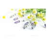 Semillas Aromaticas Cojines Y Compresas De Semillas Y Aromaterapia, Pack