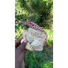 Nalego Duck Flowers Detox Tea | 1 Duck Flower |