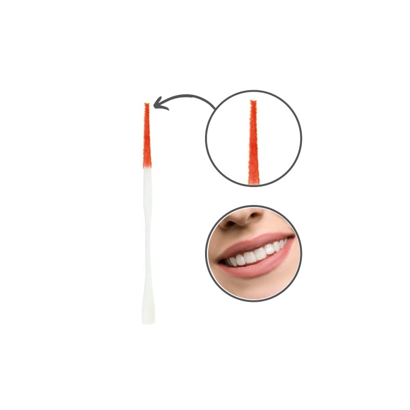 PARO Brush Stick | Interdental Brush Between Teeth, Implants and