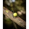 ParkerBaits Pineapple Fluoro Pop-ups 15mm