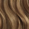 Chestnut Brown Highlights Single Hair Color Sample
