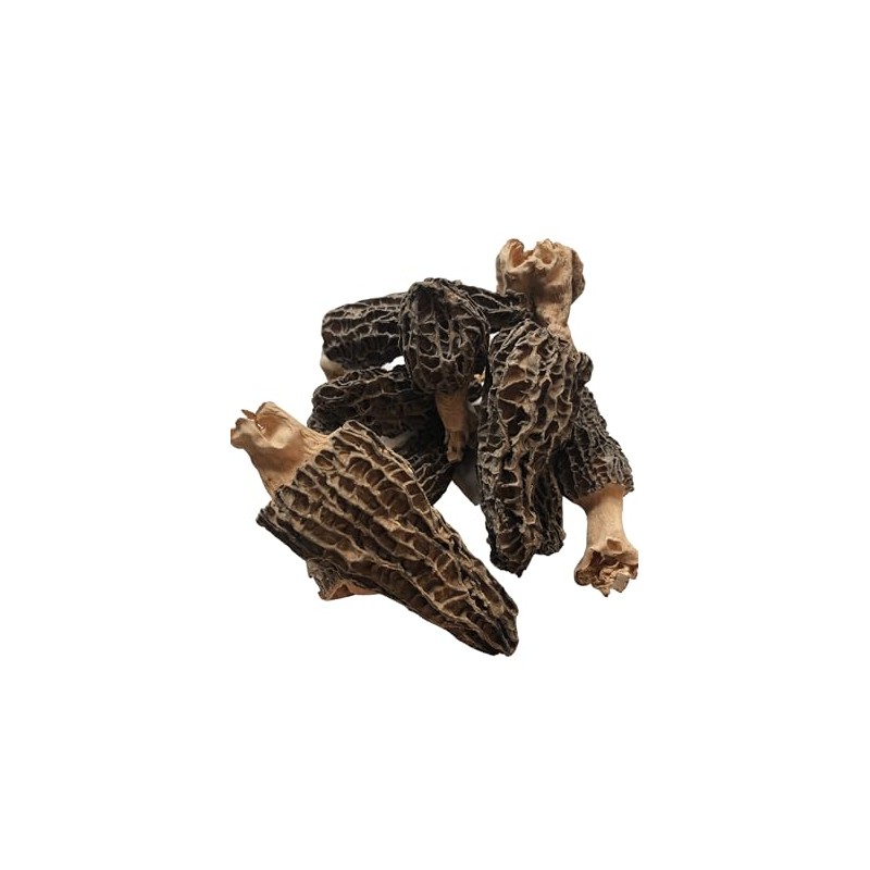 Great Lakes Treats Dried Morel Mushrooms, 0.5oz (Pack of 1)