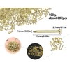 AOYEGIC 100 g nails, small mini nail for hanging pictures,