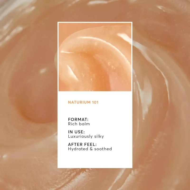 Naturallyium 내추럴리움 파이토글로우 립 마스크 보습 및 밤 시어 버터로