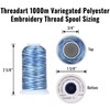 Variegated Polyester Embroidery Thread by Threadart - 40wt - 1000m