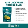 Mavuno Harvest Jackfruit Dried Fruit Snacks | Unsweetened Organic Dried