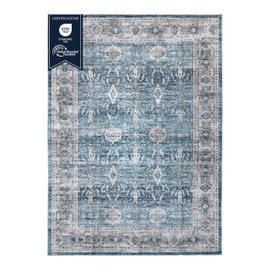 Delara Machine Washable Area Rug, Soft & Durable, Non-Slip, Stain Resistant Rug for Bedroom, Living Room, Dining Room, High Traffic Areas. (Blue/Turquoise, 5' X 7')