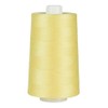 Superior Threads Omni 40-Weight Polyester Sewing Quilting Thread Cone 6000