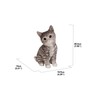 Hi-Line Gift Head-Tilting Grey Tabby Kitten Sitting