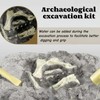 Dino Excavation Set, Dino Excavation Set Children, Kit Excavation Set