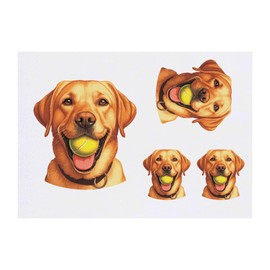 4 x 'Golden Labrador With Ball' Temporary Tattoos - Water Resistant, Skin-Safe, Non-Toxic Transfers, Mixed Sizes (TO00081318)