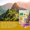 Hanan Tarwi Chocho 100% Natural Andean Lupin Powder for High-Quality