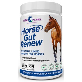 Vital Planet - Horse Gut Renew Intestinal Lining Support for Horses 13.76oz, 60 Scoop