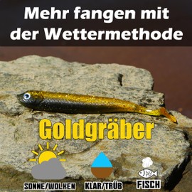 Paradox Fishing Set of 5 Gold Diggers Zander Rubber Fish 13 cm – Zander Bait Rubber Fish Set