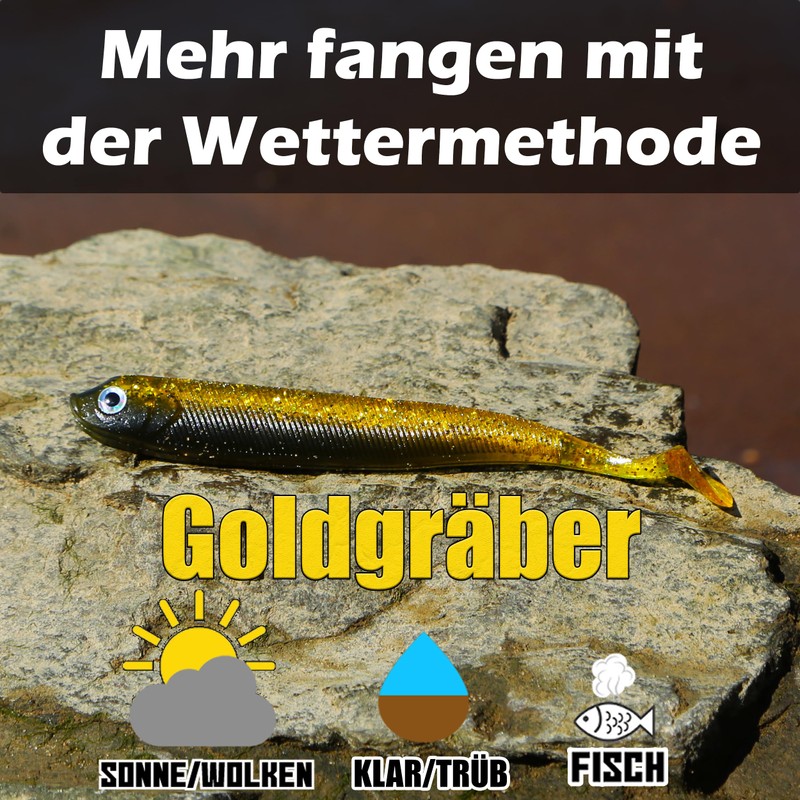 Paradox Fishing Set of 5 Gold Diggers Zander Rubber Fish