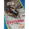 Crickets (Insects Up Close)