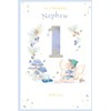 Nephew 1st Birthday Card Age 1 Catkin Pixie 9" x