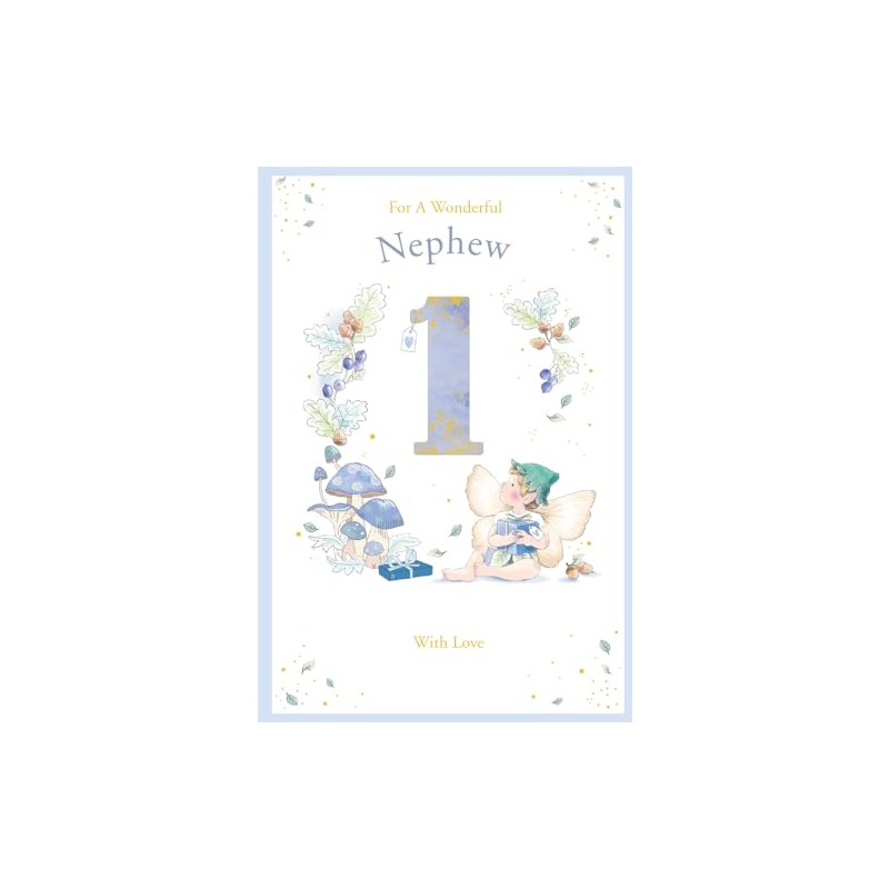 Nephew 1st Birthday Card Age 1 Catkin Pixie 9" x