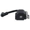 AUTOKAY 4229 400 1300 Ignition Coil with Spark Plug Kit