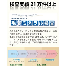 Hair Mineral Inspection (29 Elements) Starter Set (New Mineral Guide Included) Essential Minerals 12 Elements, 5 Harmful Metals, 3 Elements, 3 Semi-Hazardous Metals, Reference Mineral 3 Elements, Other Metal 6 Elements