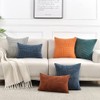 Fancy Homi 2 Packs Rust Big Decorative Throw Pillow Covers
