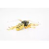 Safari LTD Hornet, Killer, Wasp, Insect, Very Realistic Rubber Model,