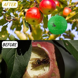 Qualirey 10 Pcs Sticky Fruit Fly Trap Ball Adhesive Fly Catching Ball Sticky Glue Fly Gnat Wasp Hornet Mosquito Bugs Flying Insects Trap Ball Traps (Green)