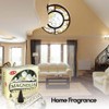 Magnolia - Case of 12 Boxes, 10 Cones Each -