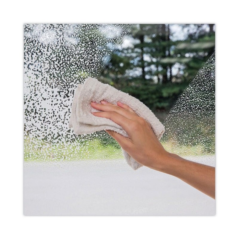 Weiman Glass Cleaner 19 OZ. (Pack of 6)