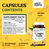 Wild & Organic Ginger Root Capsules 1200 mg - Immune