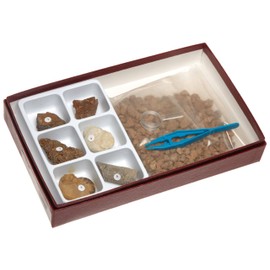 American Educational Fossil Hunt Kit