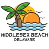 CafePress Delaware Middlesex Beach Aluminum License Plate Frame, License Tag