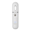 Quartz Purefog Nebulizer Nanomister - Facial Sprayer