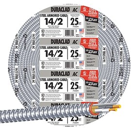 Southwire Cable Armored Steel 14/2 25FT 55278321