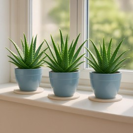 3 Pcs Diatomaceous Earth Absorbent Pads, Quick Drying Flower Pot Mats, Round White Plant Drip Trays, Non-Slip Coasters for Indoor Plants, Countertop Protection, Home Decor