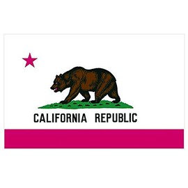 Polyester California State Flag - 5'H x 8'W