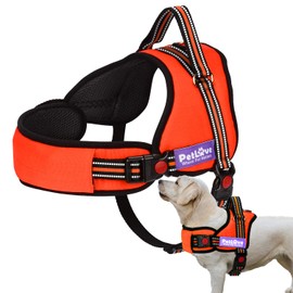 PetLove Dog Harness, Adjustable Soft Leash Padded No Pull Dog Harness for Small Medium Large Dogs, Orange
