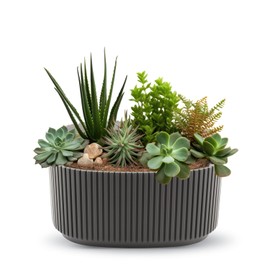 alqua Elliptischer selbstbewässernder Blumentopf, Orchidee und Blumentopf für den Innenbereich, Kunststofftopf für Zimmerpflanzen, 20 cm, Schwarz (Braun)