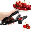 Anicy Cherry Pitter Remover Olive Corer Removal Pit Seeds Gadget