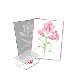 Pergamano Amaryllis - Frosted Floral Overlay Pack, PER-PA-70416-XX