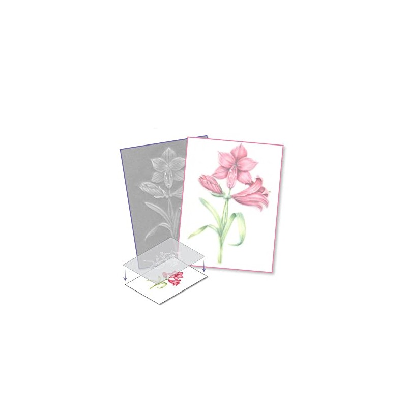 Pergamano Amaryllis - Frosted Floral Overlay Pack, PER-PA-70416-XX