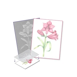 Pergamano Amaryllis - Frosted Floral Overlay Pack, PER-PA-70416-XX